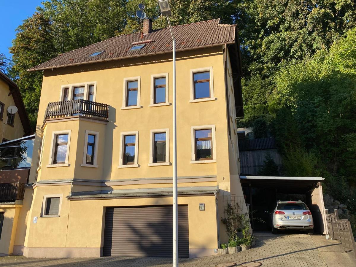Waldblickwohnung Mit Schoener Terrasse Und Kamin Sebnitz Exterior foto
