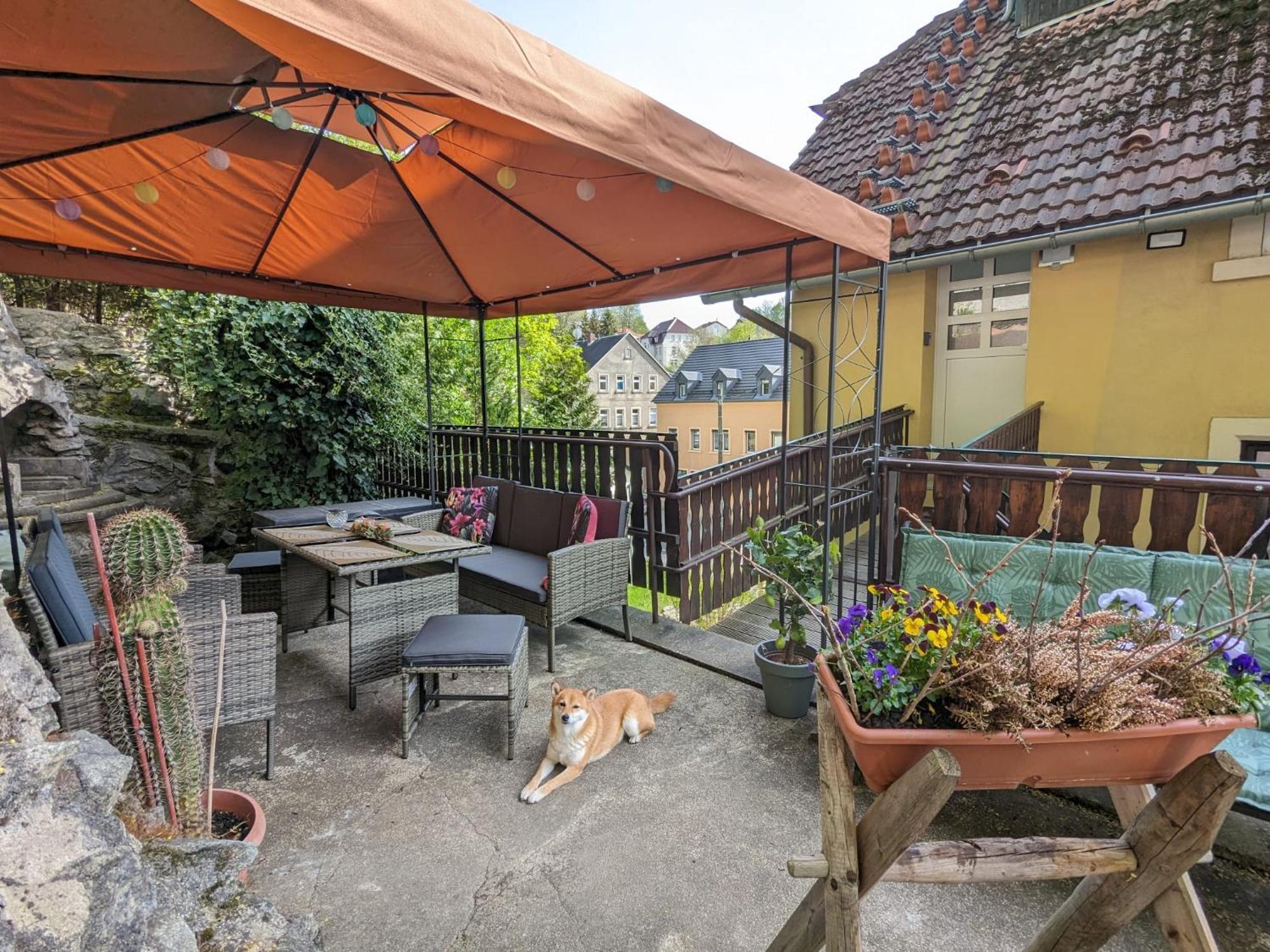 Waldblickwohnung Mit Schoener Terrasse Und Kamin Sebnitz Exterior foto